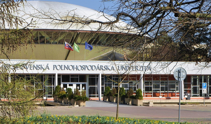 Словацький сільськогосподарський університет у місті Нітра