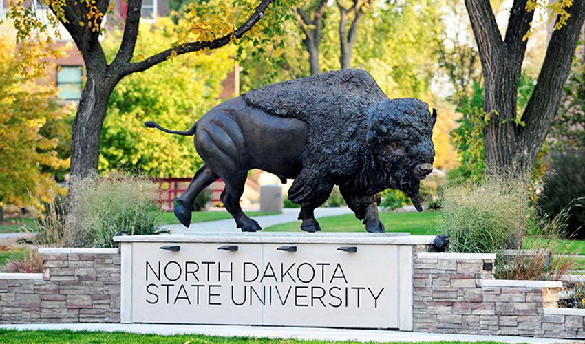 Статуя бізона перед входом у Державний університет Північної Дакоти