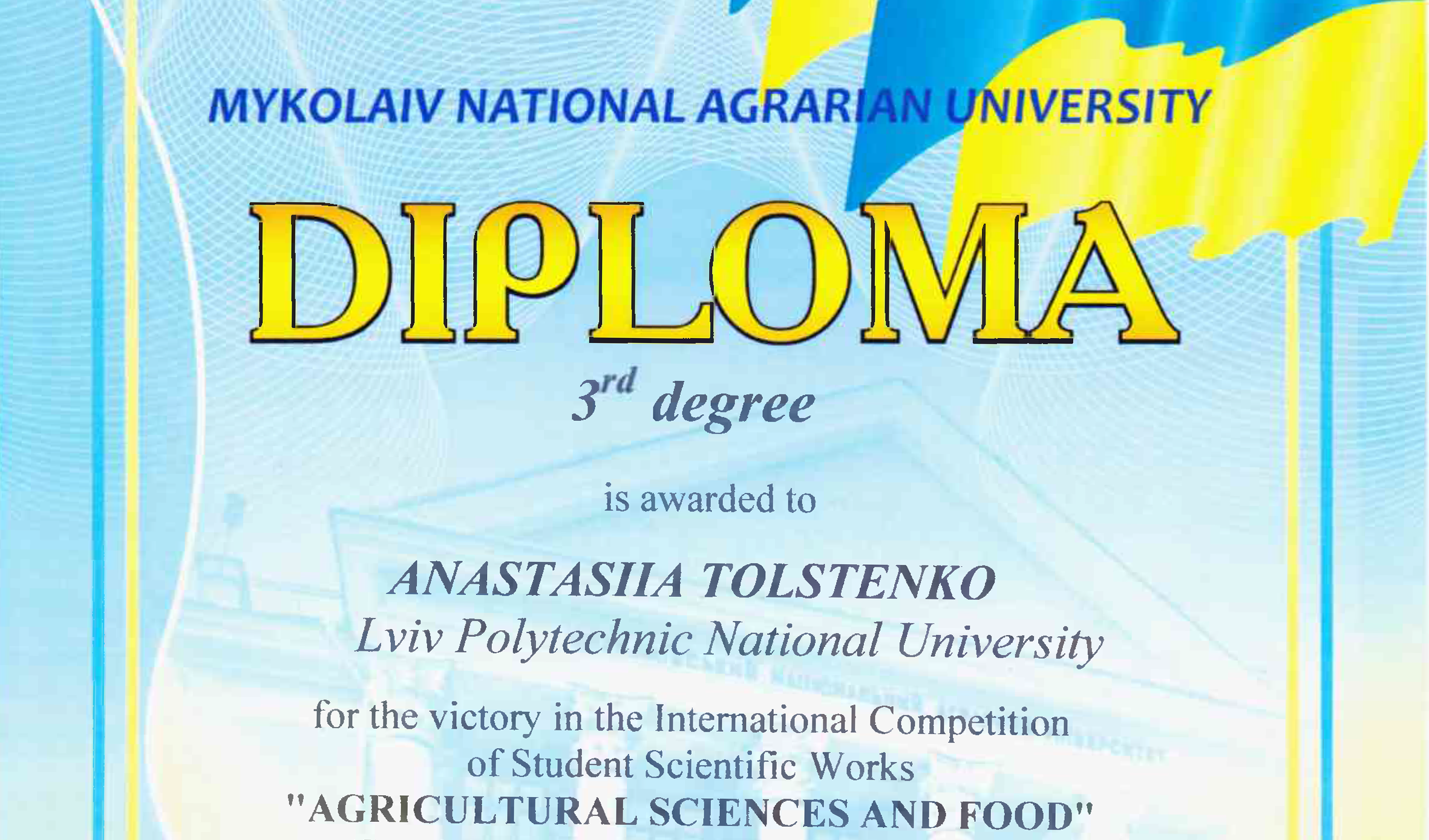 Фрагмент диплома Анастасії Толстенко