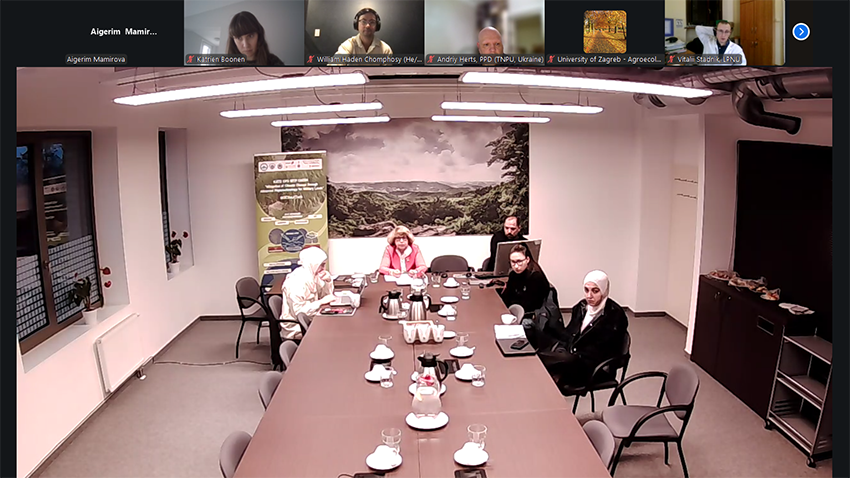 Скріншот з онлайн-заходу проєкту