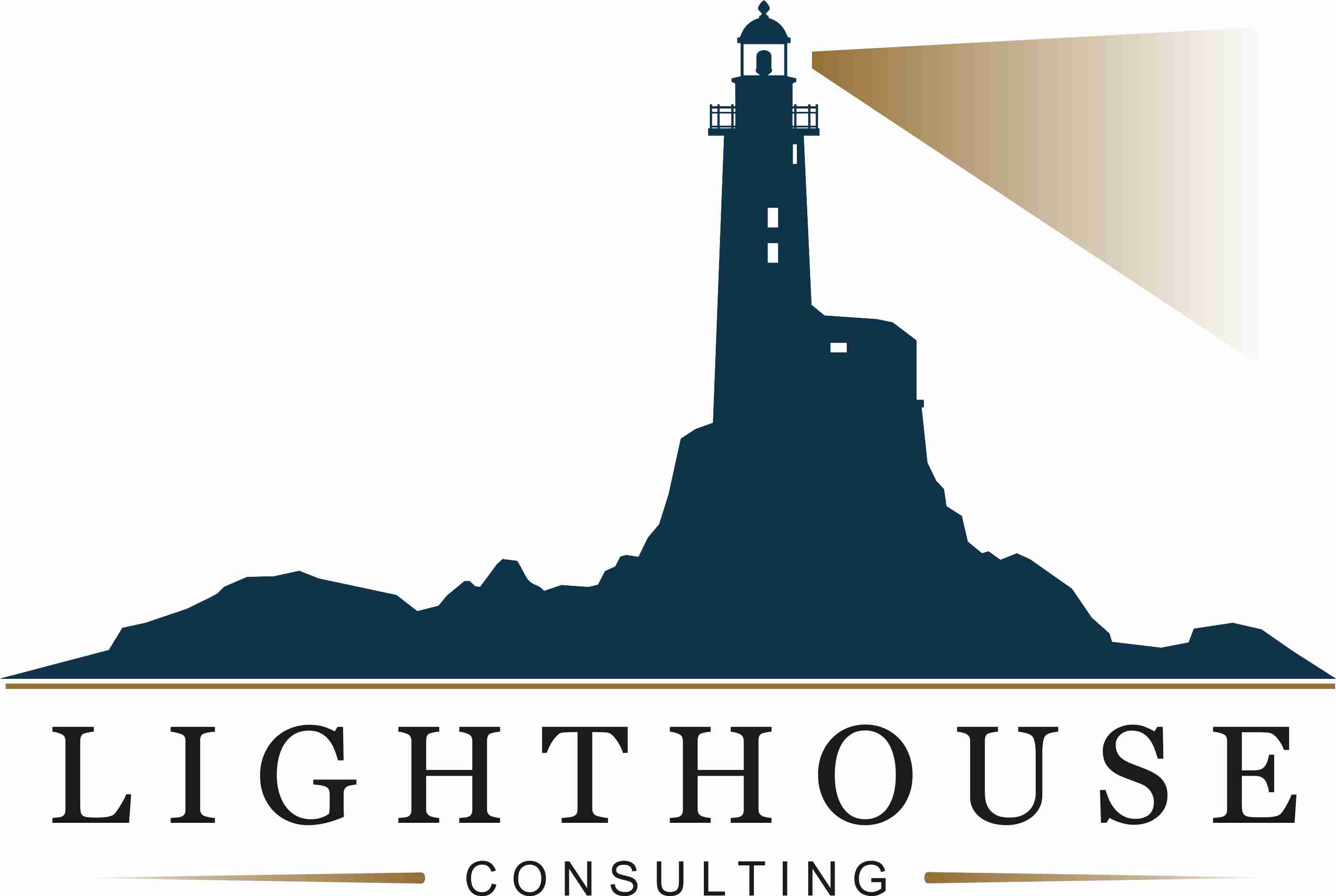 Lighthouse consulting Ukraine