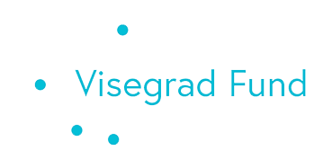 Visegrad Group countries Research Project