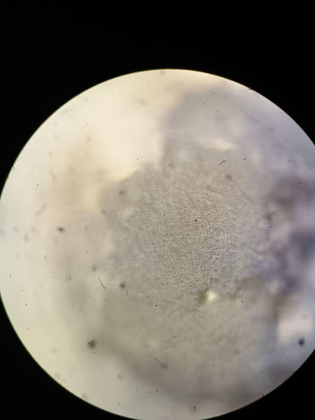 Наноструктура електродів для ВСІ