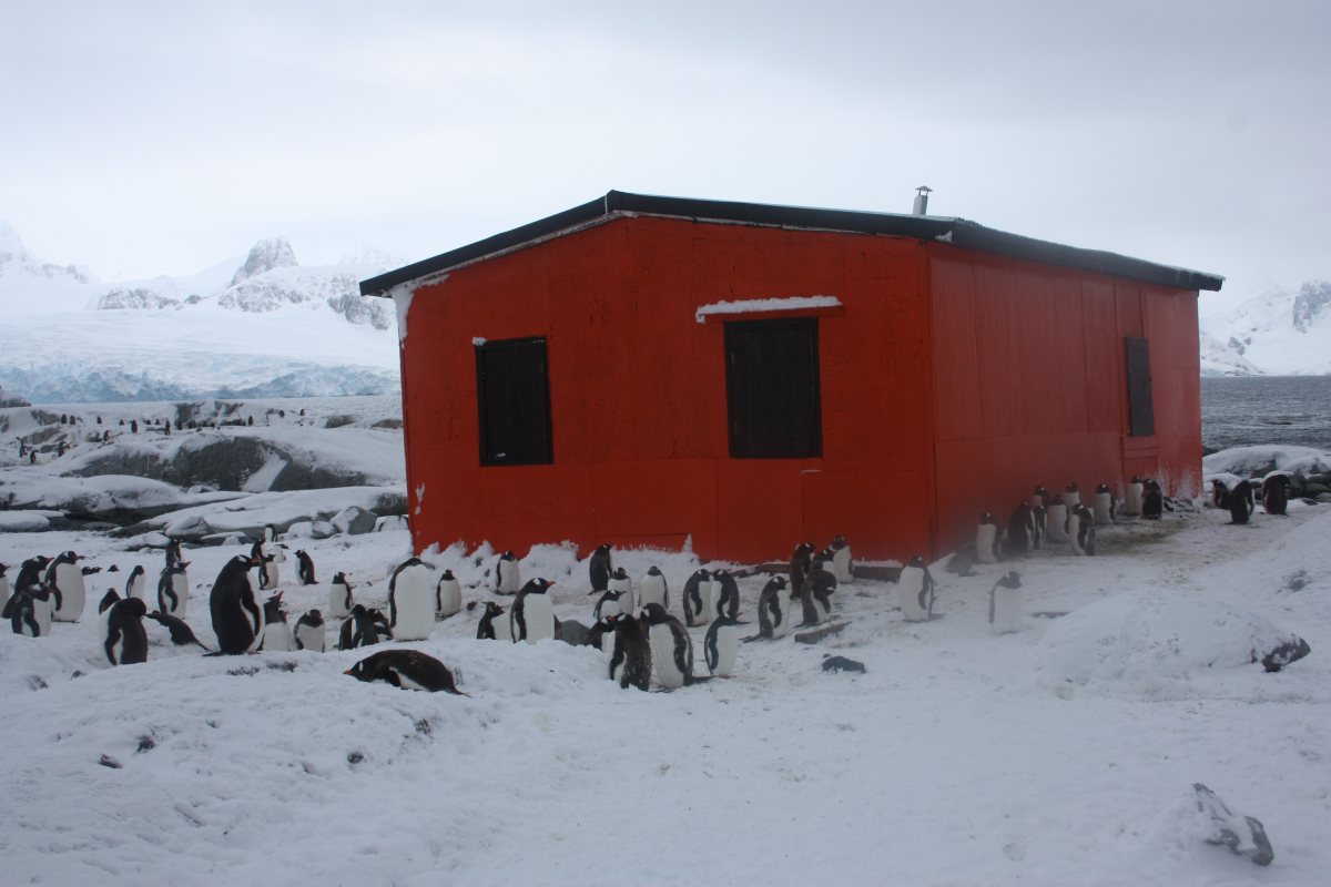 шоста експедиція до Антарктиди