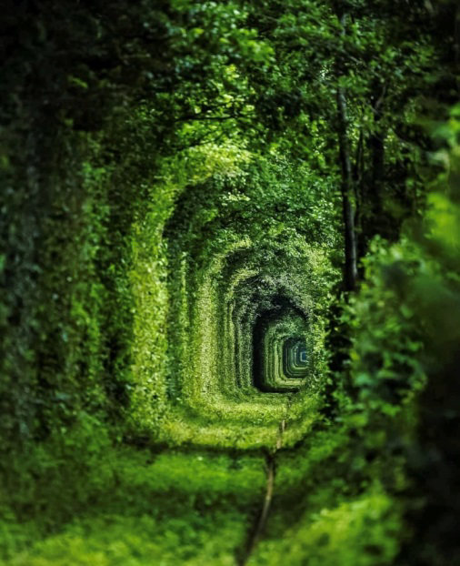 Тунель кохання – Рівненщина, поблизу містечка Клевань