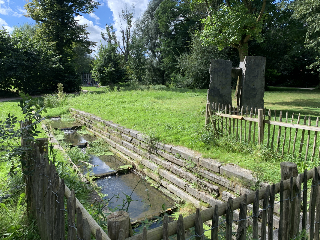 Фото з конференції