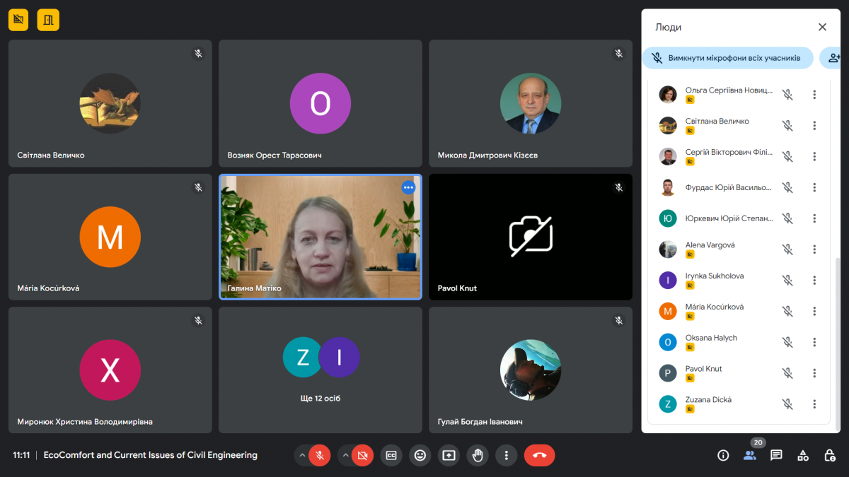 Скріншот з онлайн-конференції