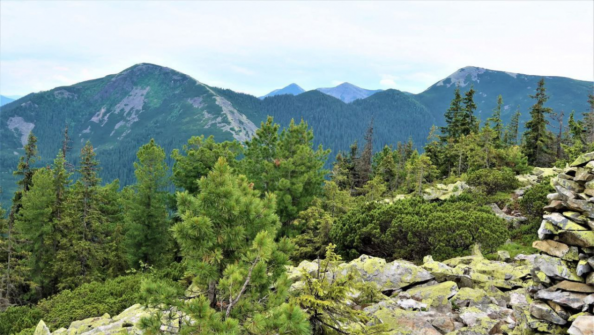 Ілюстрація до матеріалу