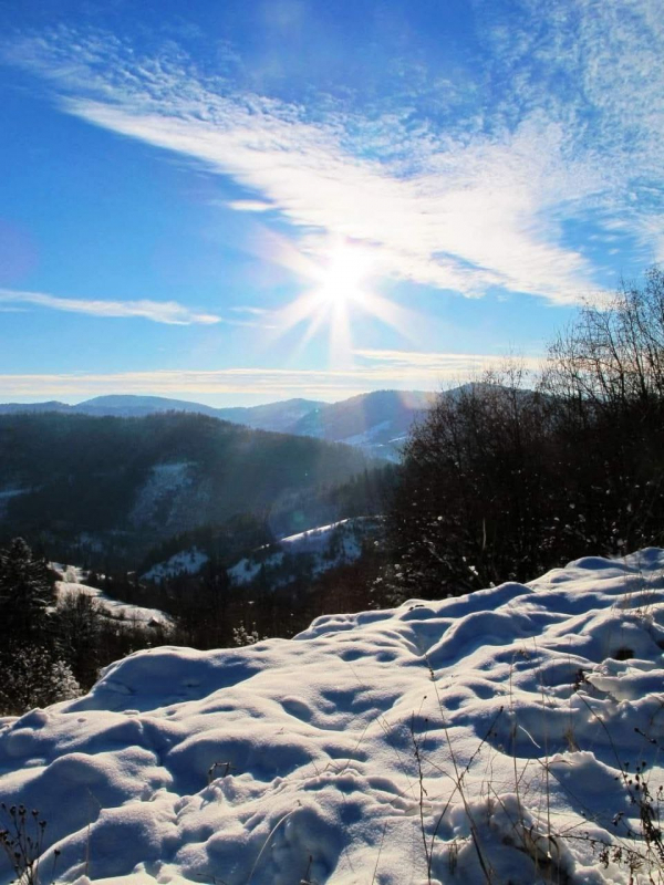 Ілюстрація до матеріалу
