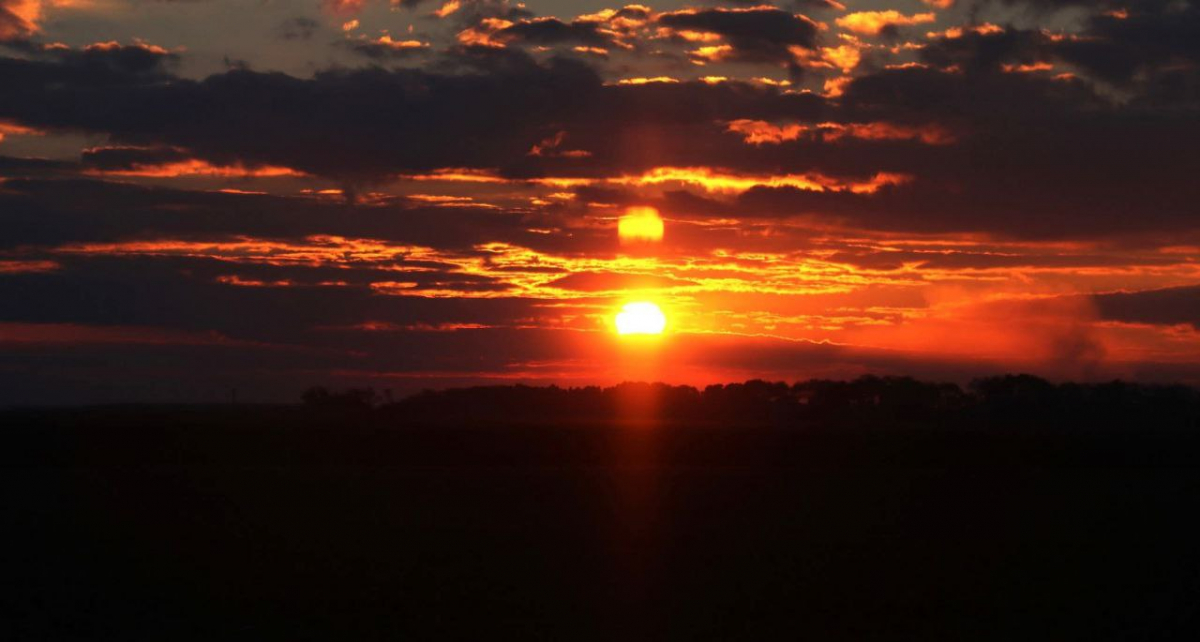 Ілюстрація до матеріалу