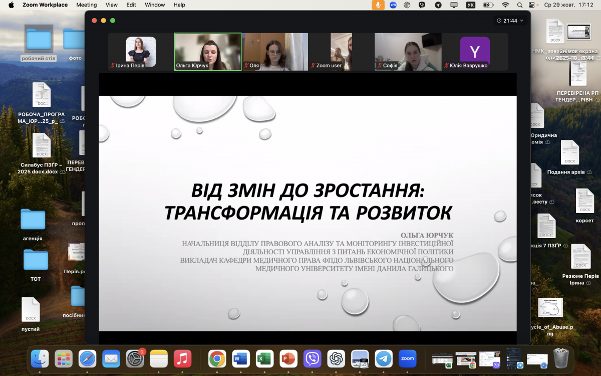 Скріншот з онлайн-лекції