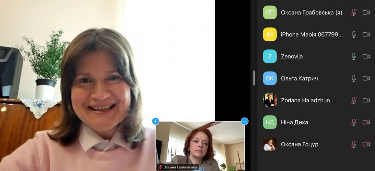 Скріншот з онлайн-семінару