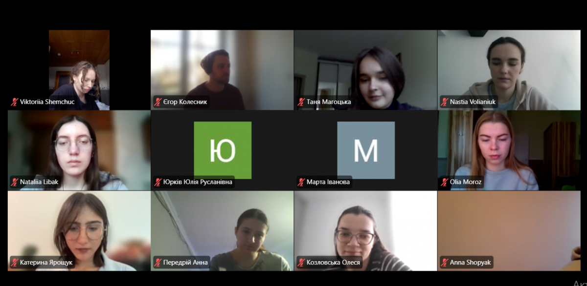 Скріншот з онлайн-заходу