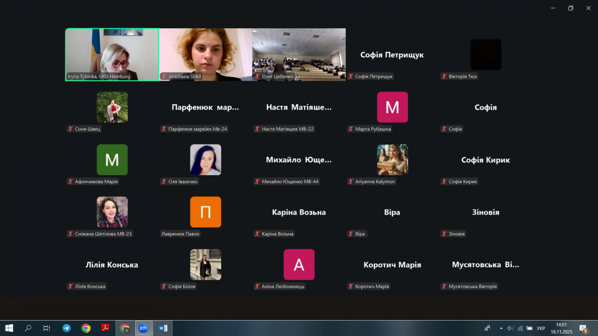Скріншот з онлайн-зустрічі