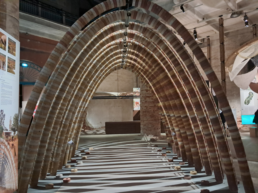 Фото з бієнале