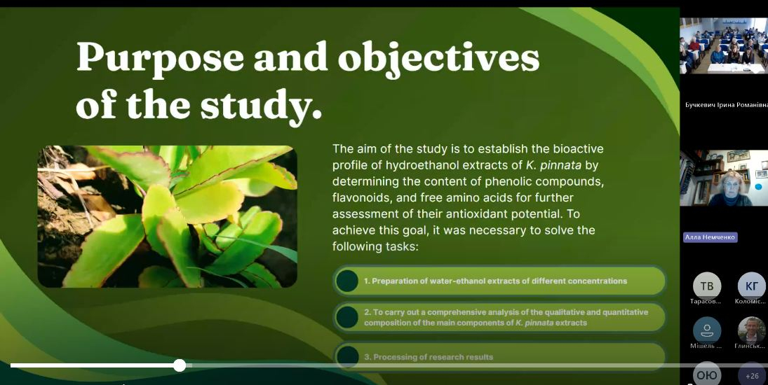 Скріншот з онлайн-конференції