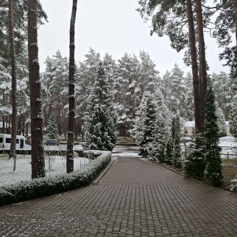 Фото з виїзного засідання кафедри
