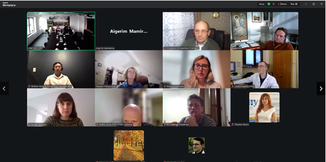 Скріншот з онлайн-заходу проєкту