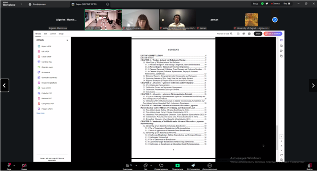 Скріншот з онлайн-заходу проєкту