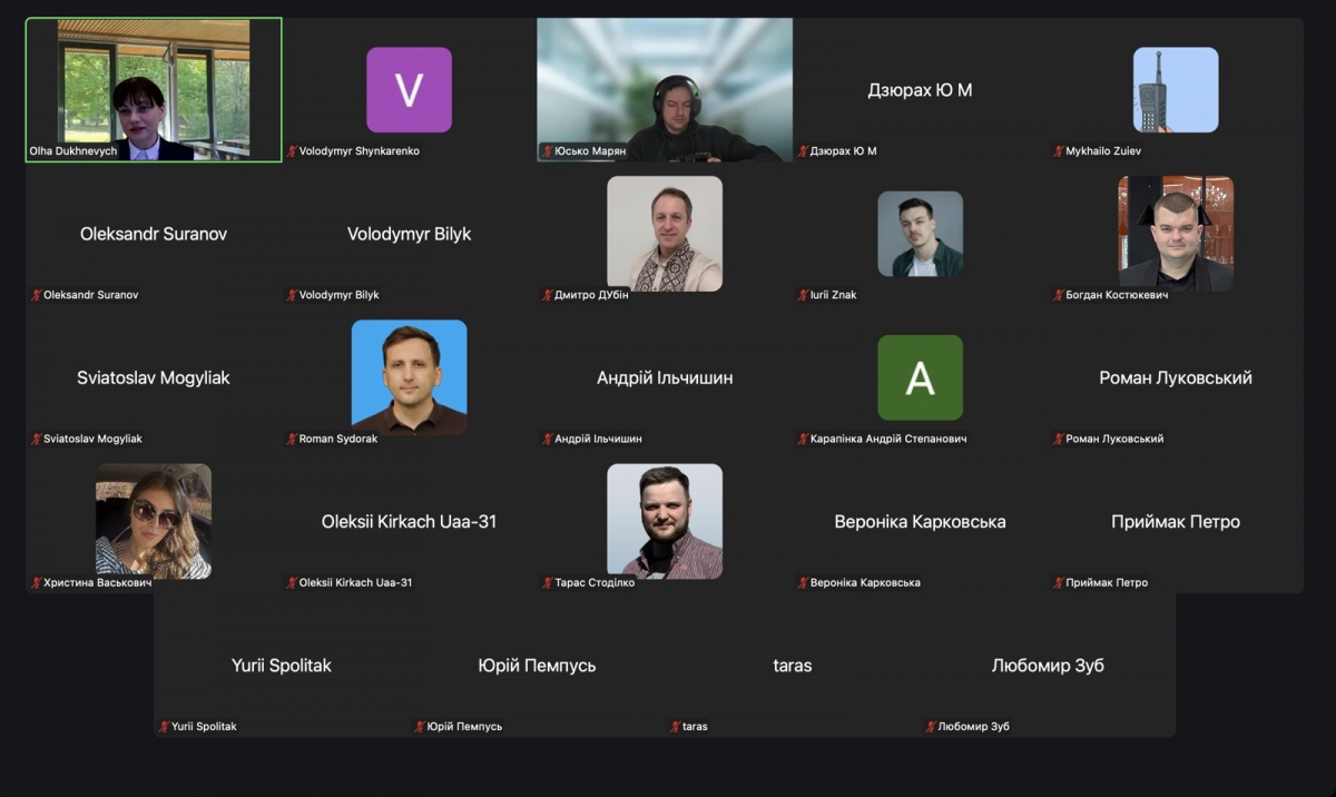 Скріншот з онлайн-зустрічі