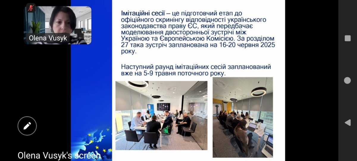 Скріншот з онлайн-лекції