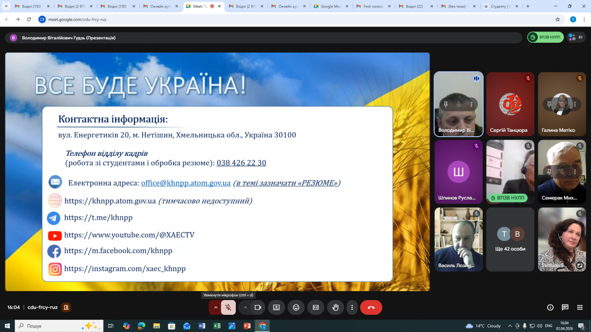 Скріншот з онлайн-зустрічі