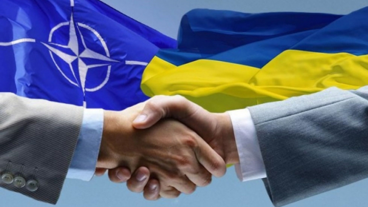 Заставка до співпраці України і НАТО