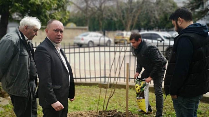 Працівники ІАПО садять калину