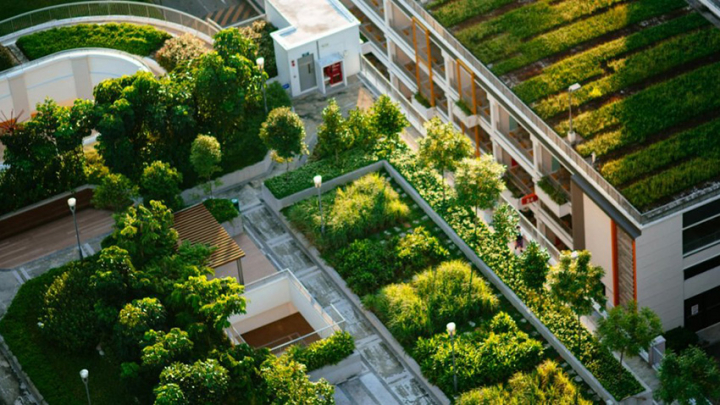 Заставка до конференції